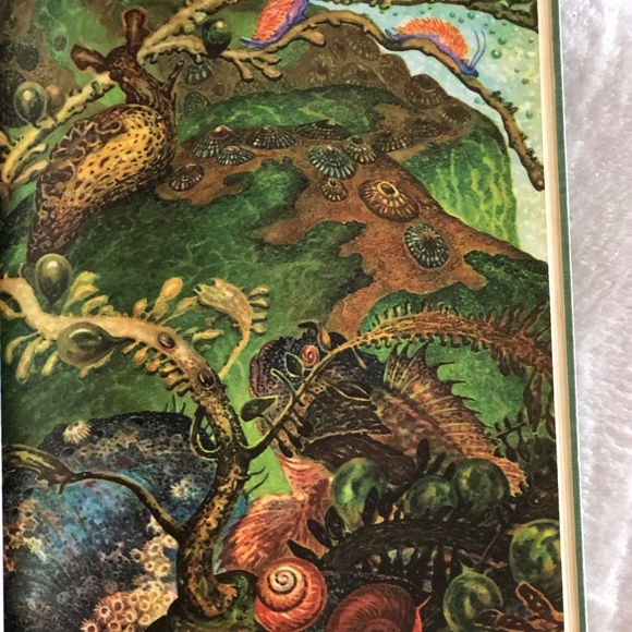 Pagoo by Holling Clancy Holling 1957 Vintage Book - Picture 6 of 13